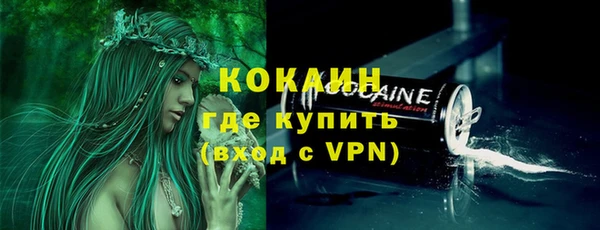дмт Аркадак