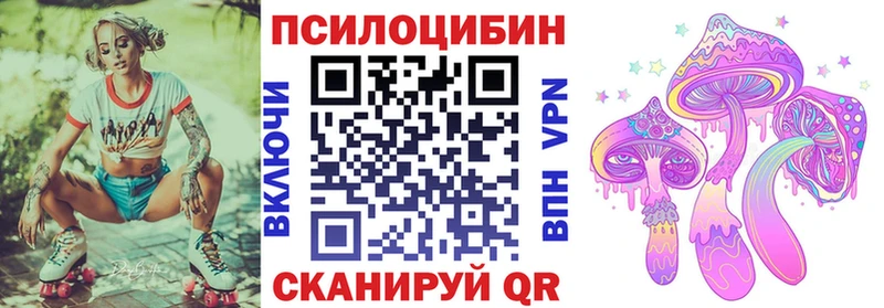 Галлюциногенные грибы Psilocybine cubensis  где найти   Няндома 